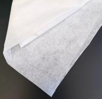 Web adhésif COPA de fonte chaude en nylon de 30g pour le textile à la maison en cuir intérieur des véhicules à moteur
