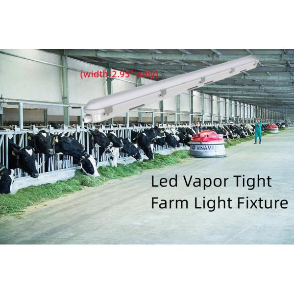 4FT Tri Proof LED Light Fixture 42W Linear Vapor Tight Light For Food Storage Durable