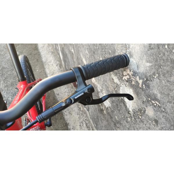 20 дюймовый детский велосипед с вилкой и карбоновой рамой весит всего 11 кг.