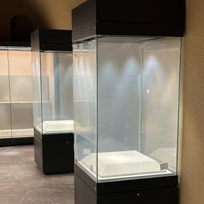 Powder Coating Museum Display Cases OEM ODM Exhibit Display Cases