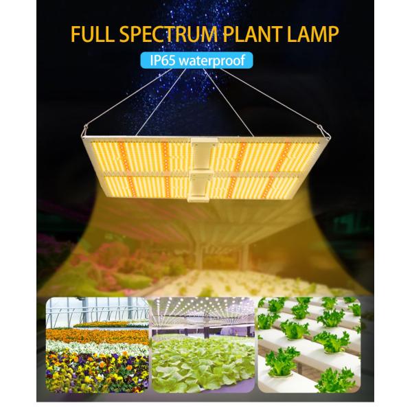 ROHS 240W Waterproof LED Grow Light For Indoor Gardening