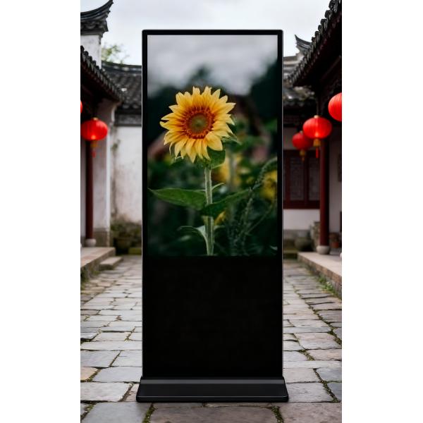 Panel Size 43 Inch Standing-aid Digital Signage Chinese Language Selection for Chinese Market
