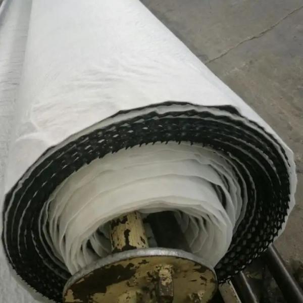 Chinese Design Style HDPE 3D Composite Drainage Geonet Network Mats for Sports Fields