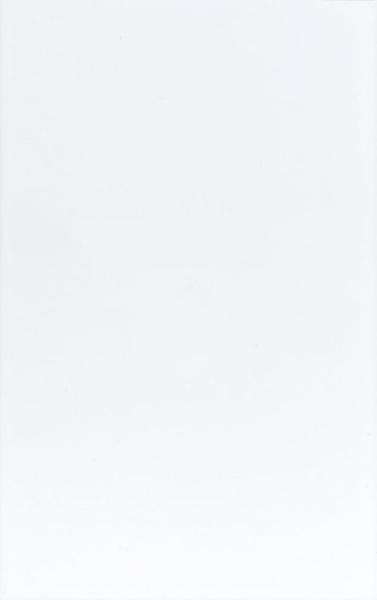 250x400mm kitchen wall tile stickers,ceramic wall tile,glossy surface,white color