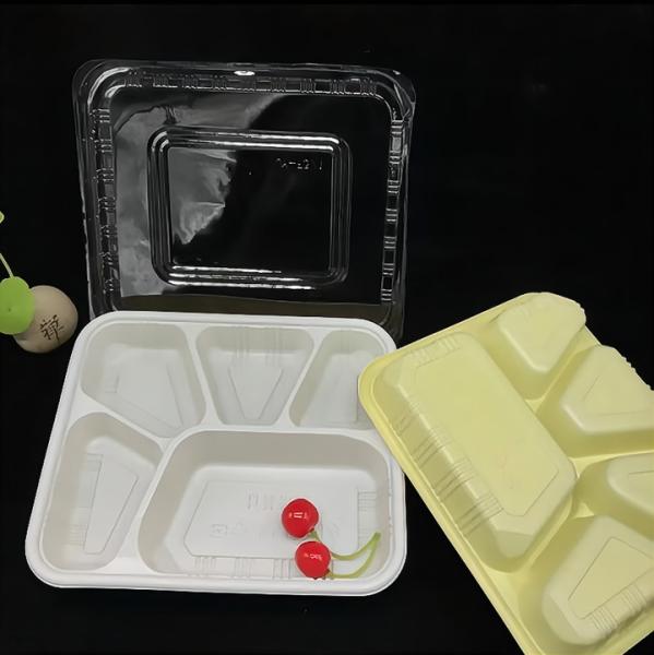 4 Compartment Disposable Meal Prep Container Microwave Lunch Fast Food Pp Takeaway Food Packaging Boxes