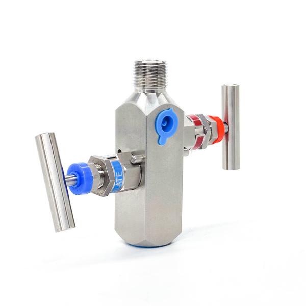 Integrated Stainless Steel Two Valve Group Instrument Pressure Gauge Valve
