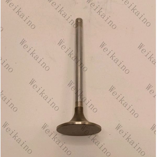1842913c1 1842912c1 Perkins Diesel Engine Parts Intake Valve Exhaust Valve for 1306 Series