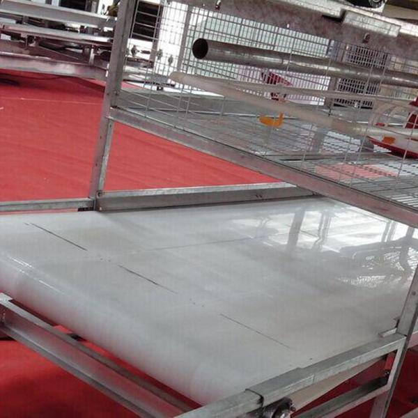 Чистка конвейерной ленты позема птицы PP птицефермы подпоясывает 1.0mm/1.2mm