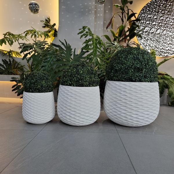 Potes de cemento de fibra moderna resistentes a la helada y diseño de carácter para plantas