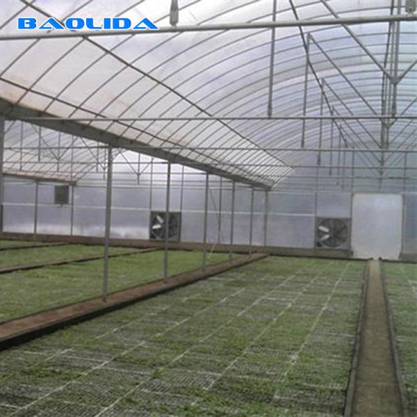 Estufa comercial do período do jardim multi para o desempenho estável vegetal