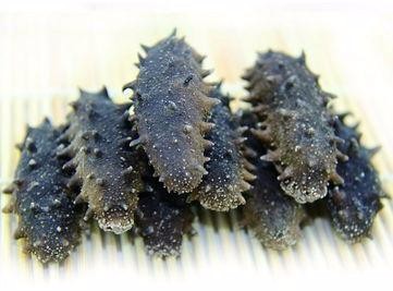 Prix de séchoir à sacs de qualité fiable