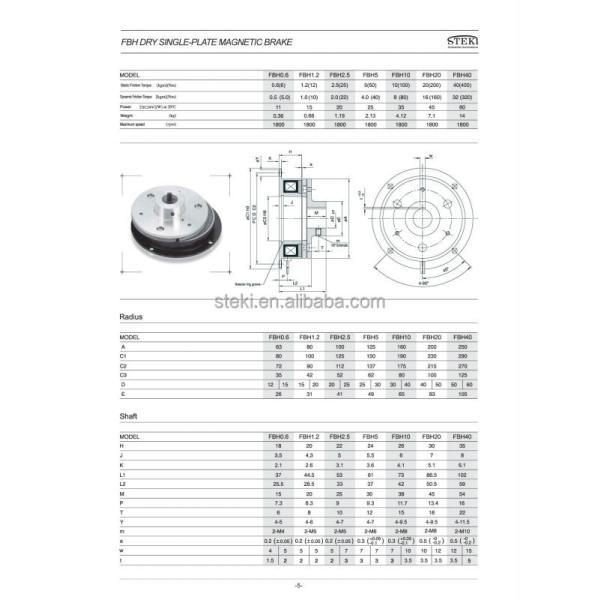 Standard STEKI 2018 FBH Dry Single Plate Electromagnetic Brake for Metallurgical Mine Machinery Alternative NEXEN