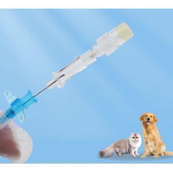 Small Winged IV Cannula with Heparin Lock | Flexible, Safe, and Designed for Small Animal IV Use