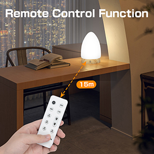 Customizable Sunlight Therapy Lamp 100V - 240V Sunlight LED Lamp With Timer