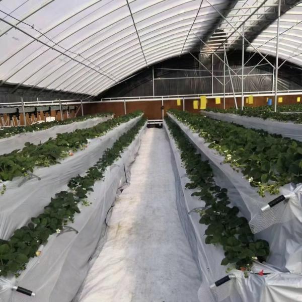 JX-A00162 Innovative Agriculture Arches Tunnel Greenhouse Kit Estimated Delivery Time