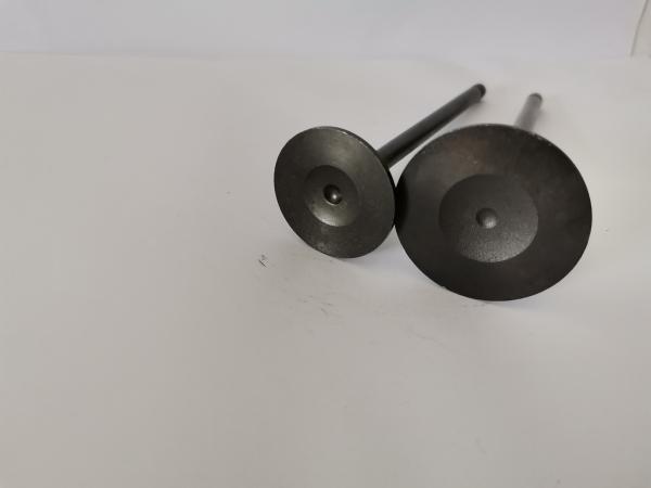 4210AX Car Engine Admission Valves For CITROEN C3 / PEUGEOT 208 1.5 8V