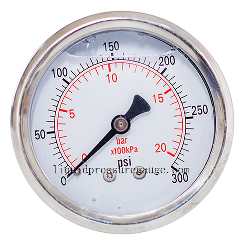 2-1/2 inch Pressure Gauge, glycerine, 0-300 psi/bar/Kpa, 1/4 BSP back mount, stainless steel case and brass internal