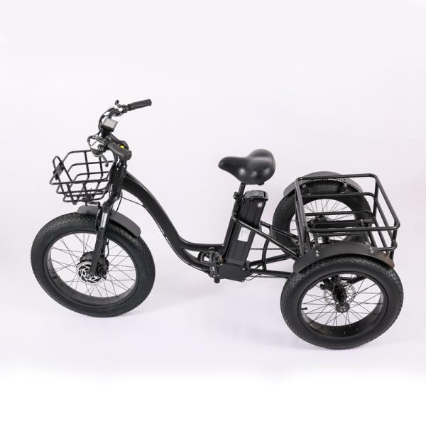 High Capacity Family Cargo Bike with Torque 80-90 Nm and Rear Carrier Battery Position