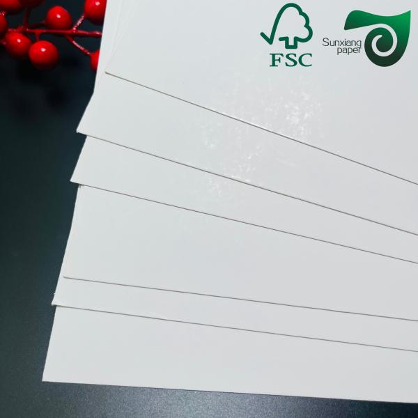 Papier d'emballage alimentaire C1S artistique imperméable FSC 635mm×914mm pour boîtes à emporter