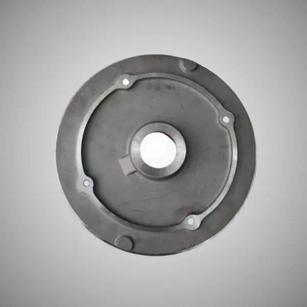 ANDRITZ OEM ODM Pump Replacement Spare Parts Casing Cover