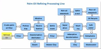 Palm Fruit Red Palm Oil Press Machine for High Productivity Palm Oil Extraction Processing Plant Competitive Cost