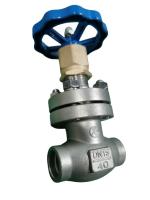 Cryogenic DN15 Socket Weld Globe Valve Low Temperarure