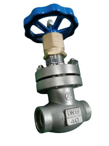Cryogenic DN15 Socket Weld Globe Valve Low Temperarure