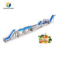 Linha automática secagem de lavagem do processamento das frutas e legumes da seleção