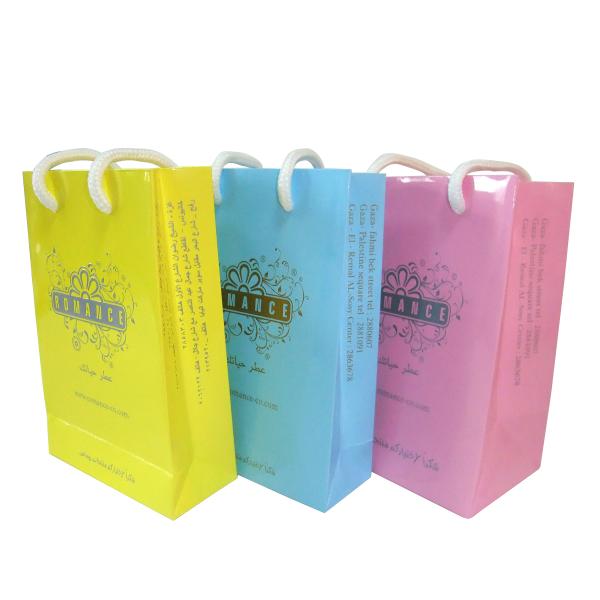 Service d'impression de réutilisation coloré le meilleur marché fait sur commande de sac de transporteur de papier pour l'achat