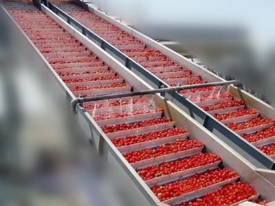 25t/h Automatic Tomato Paste Manufacturing Machine With 150kw Fruit Processing Line