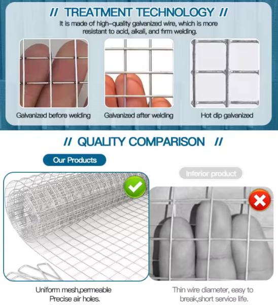 Top Quality And Good Price Customizable 26 Gauge Galvanized Welded Wire Mesh Galvanized Welded Wire Mesh 2x2 Weight