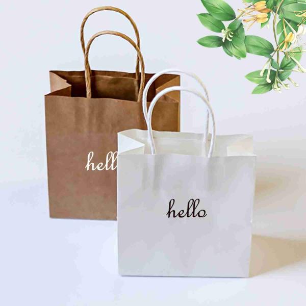 OEM Boutique Cardboard Fancy Kraft Paper Shopping Bags With Handle 210gsm
