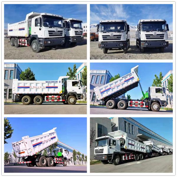 10 Wheels Shacman 6X4 Dump Truck Tipper Truck Blue Engine Capacity >8L for Your Needs