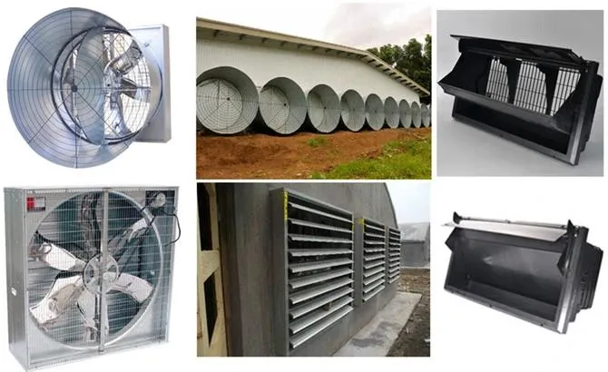 256 Unit Capacity Automatic Poultry Farming Equipment with Hot-DIP Galvanized Steel and Automatic Feeding System