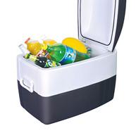 AC/DC 12V/24V Portable Car Fridge Freezer Folding Door / Swing Door Type