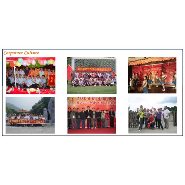 GAMEMON MANUFACTURING LTD