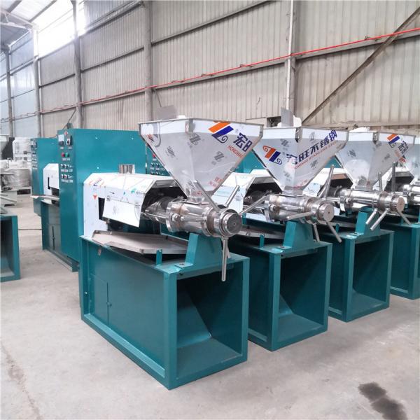 Automatic Stainless Steel Cold Pressing Coconut Oil Press Machine Family Type