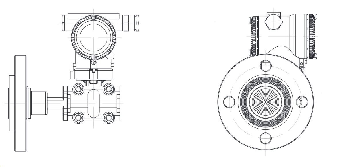 FD3051SLT Single Flange Level Transmitter With Capillary Tube For Open Vessel Water Level Transmitter