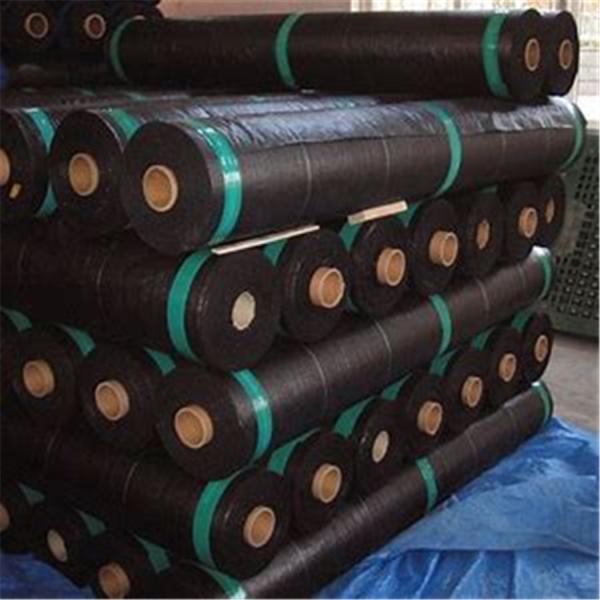 Circular Weaving Polypropylene Ground Cover , Landscape Ground Cover Fabric