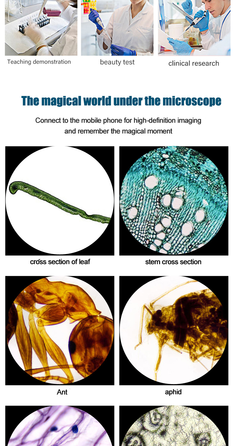 CenLee Portable Digital Biological Binocular Microscope Students All-Optical System LED Illumination Coarse/Fine Adjustment