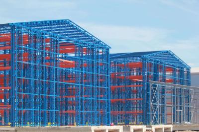 Customized Rack Supported Warehouse Cold Storage ASRS System