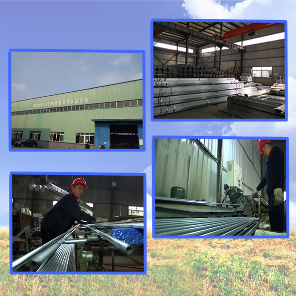 Анти- старея садовнический алюминиевый шатер парника с листовым стекл