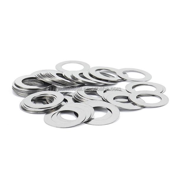 Industrial 316 SS304 Spring Stainless Steel Flat Washers Shim Thin