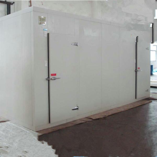 CE Restaurants Fan Cooling R404A Walk In Cooler Freezer