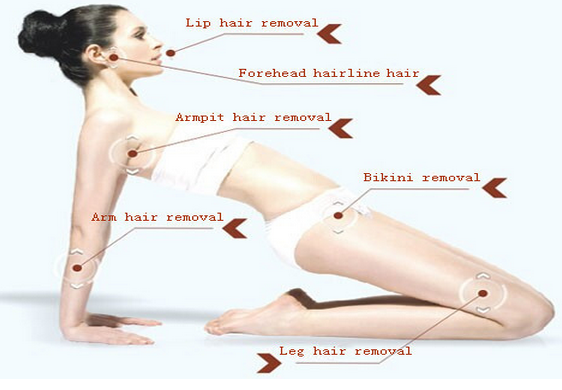 Постоянная машина  подмолаживания стороны депиляции волос с методом OPT