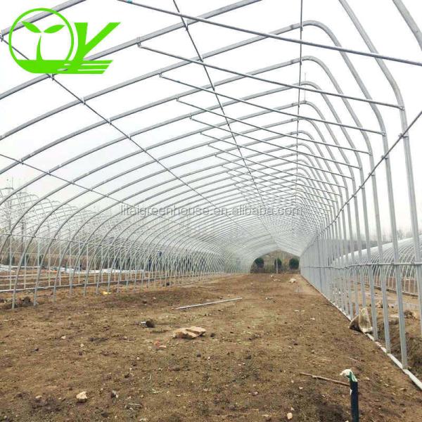 Estufas de plástico agrícola para vegetais, frutas e flores