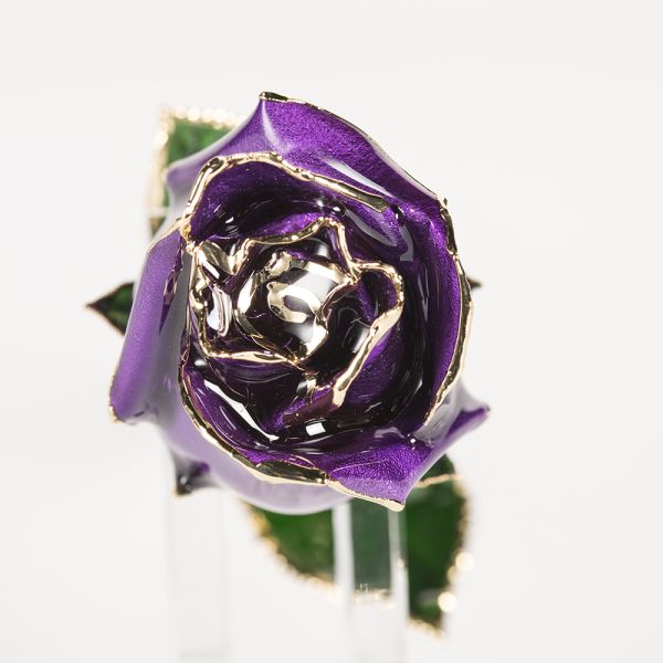 24k Gold Trimmed Rose Fresh Preserved Flower Gold Plated Natural Rose Handmade Preserved Rose