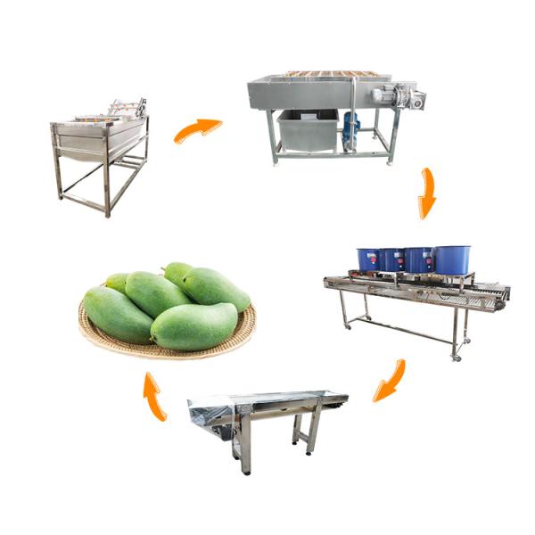 Hot selling Automatic Vegetable Garlic Potato Cleaning Machine by Huafood
