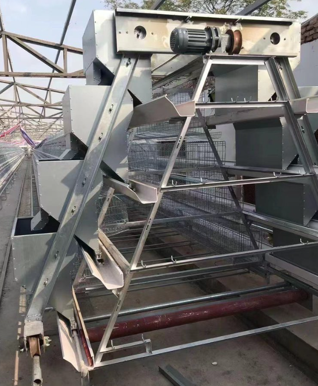 Hot-Dip Galvanized Steel Automatic Chicken Cage with 15-20 Year Lifespan and Automated Feeding System