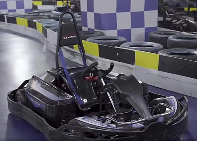 управляемая батарея лития 48V 40Ah*2 идет дистанционное управление Kart